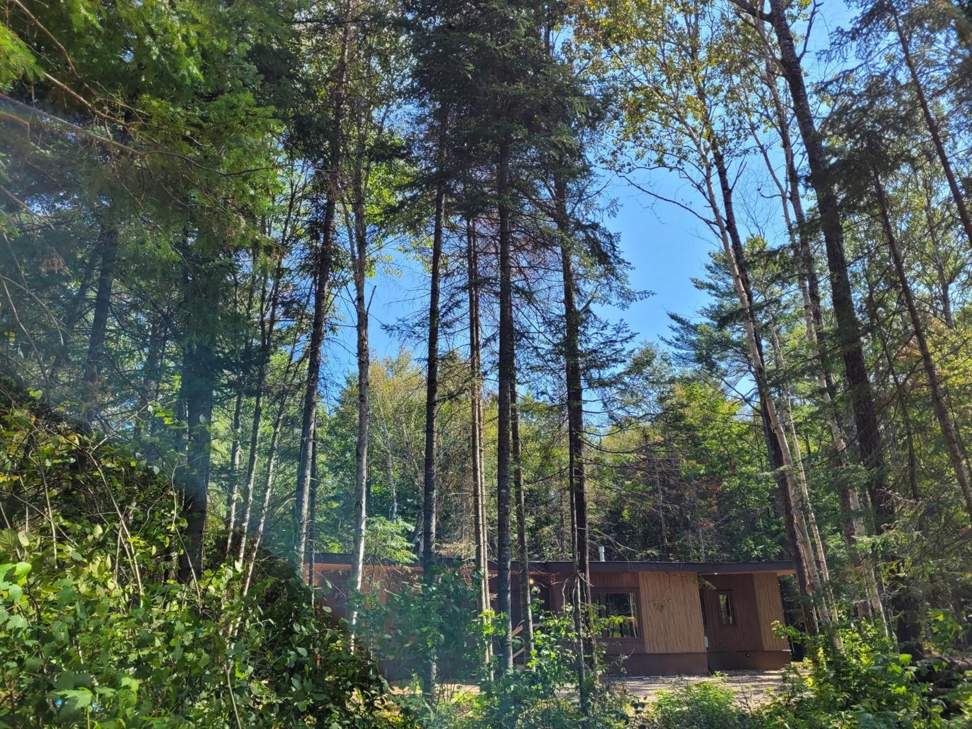 Nomi Resort Harcourt Luaran gambar