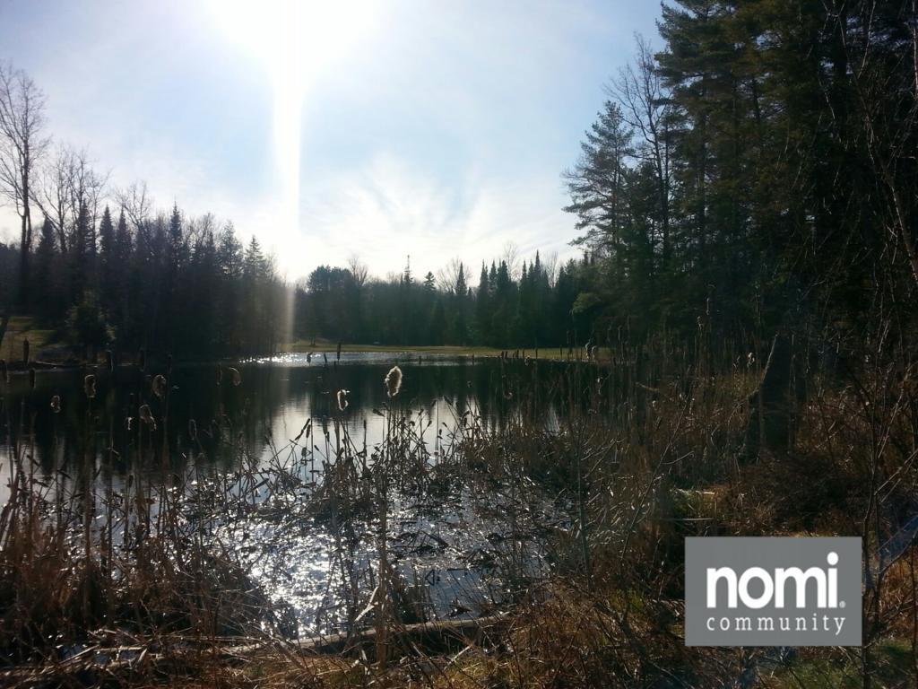 Nomi Resort Harcourt Luaran gambar